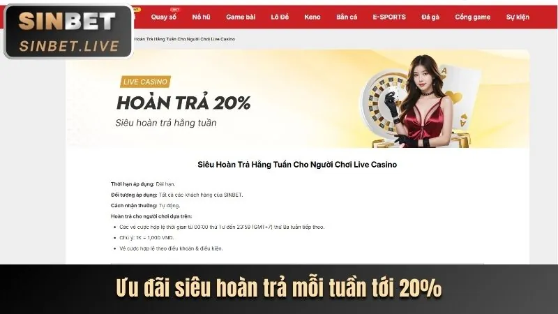 Tầm quan trọng của sumvip5 link mới